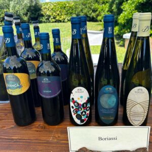 Degustazioni in Cantina Boriassi