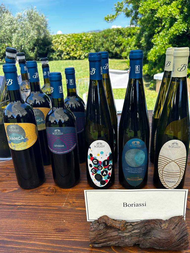 Degustazioni in Cantina Boriassi